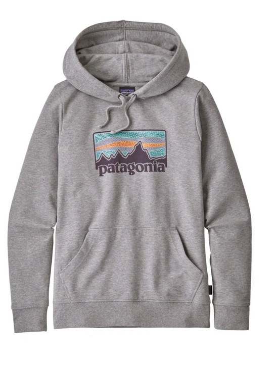 Patagonia Tops - Patagonia Gray Pullover Hoodie
